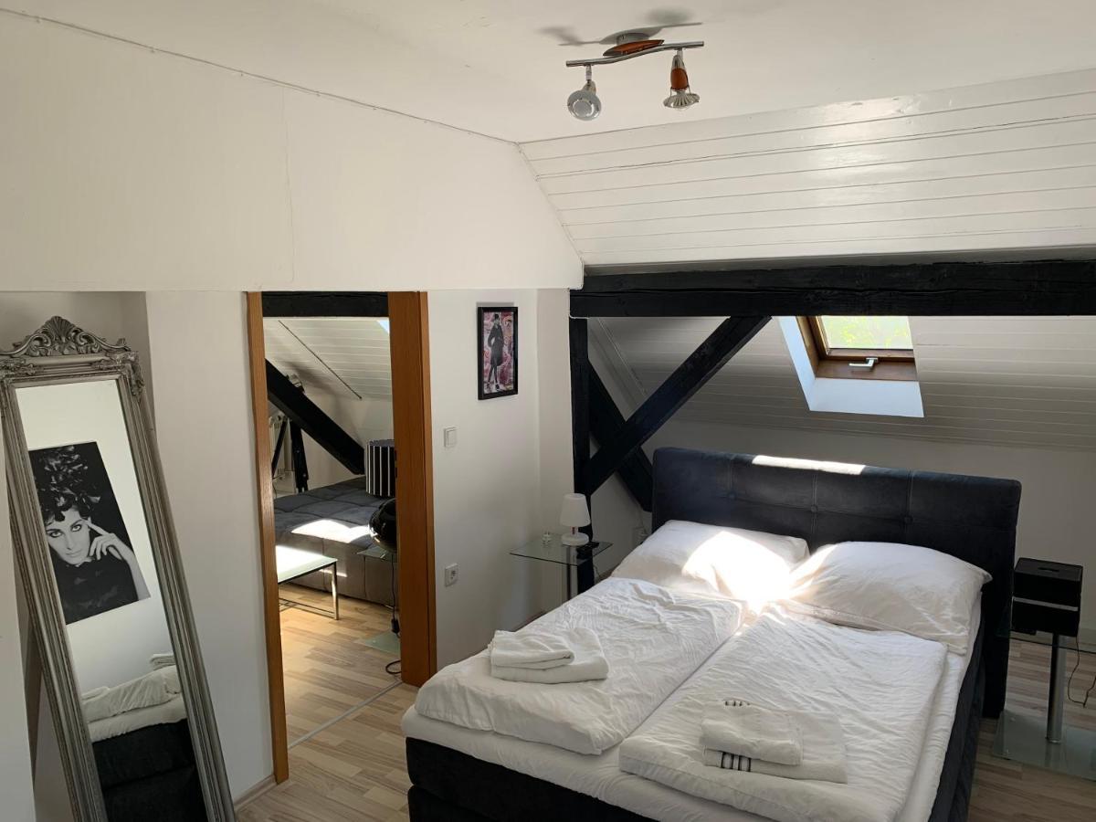 Apartment Direkt An Der Waldnaab Neustadt an der Waldnaab Ngoại thất bức ảnh
